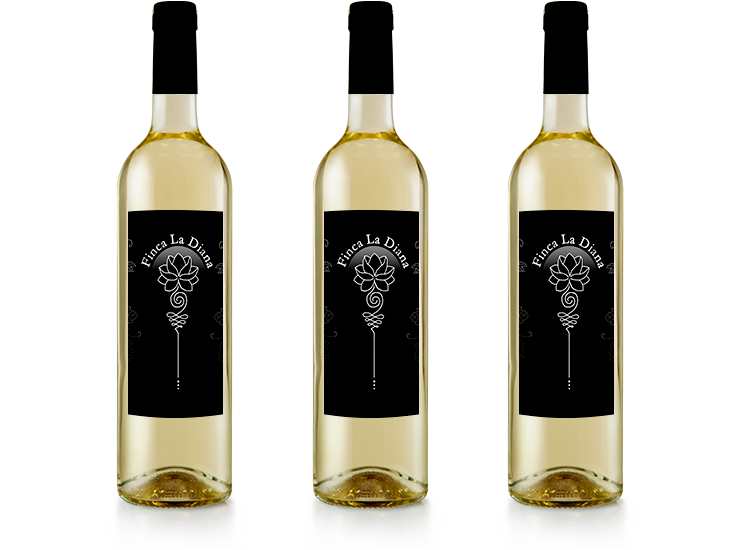 DOS BLANCOS